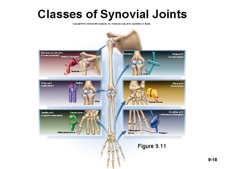 Classes of Synovial Joints Copyright © The Mc. Graw-Hill Companies, Inc. Permission required for