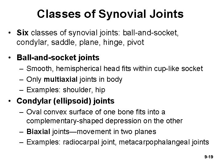 Classes of Synovial Joints • Six classes of synovial joints: ball-and-socket, condylar, saddle, plane,