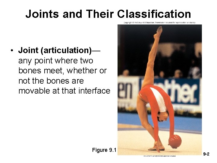 Joints and Their Classification • Joint (articulation)— any point where two bones meet, whether