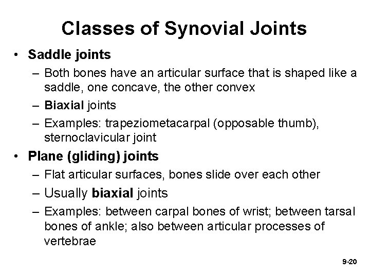 Classes of Synovial Joints • Saddle joints – Both bones have an articular surface Classes of Synovial Joints • Saddle joints – Both bones have an articular surface