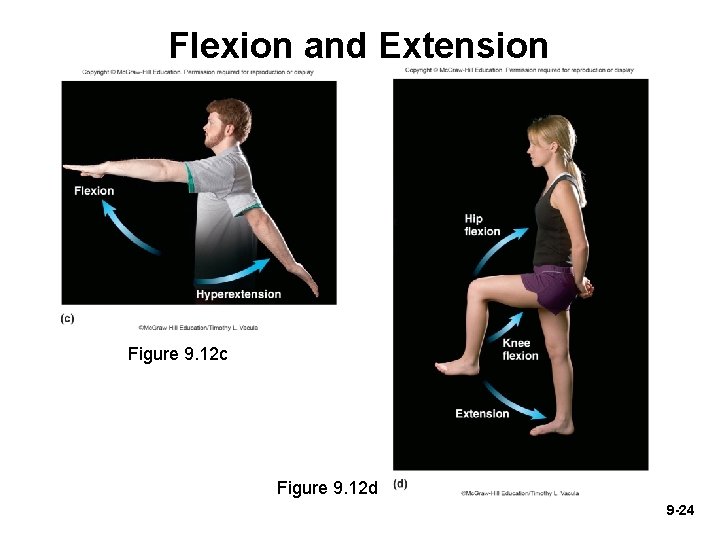 Flexion and Extension Figure 9. 12 c Figure 9. 12 d 9 -24 