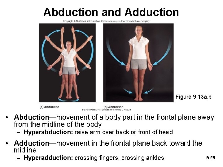 Abduction and Adduction Figure 9. 13 a, b • Abduction—movement of a body part