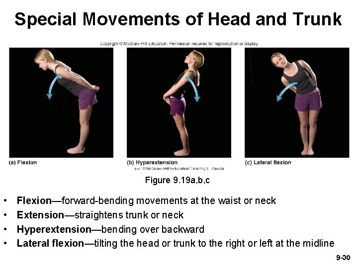 Special Movements of Head and Trunk Figure 9. 19 a, b, c • • Special Movements of Head and Trunk Figure 9. 19 a, b, c • •