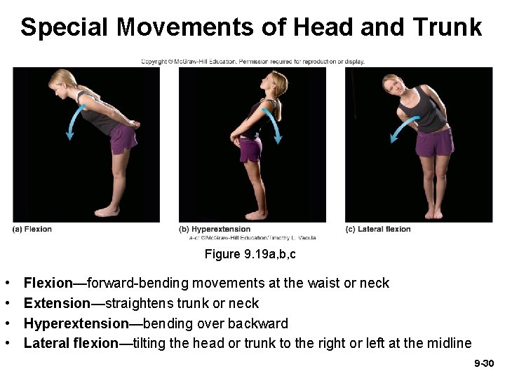 Special Movements of Head and Trunk Figure 9. 19 a, b, c • •