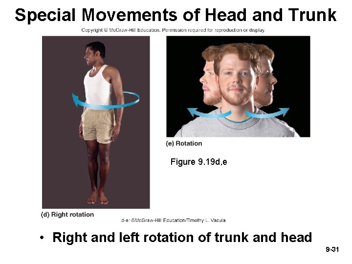 Special Movements of Head and Trunk Figure 9. 19 d, e • Right and