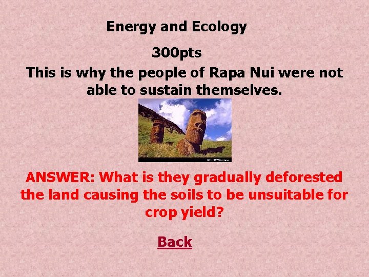 Energy and Ecology 300 pts This is why the people of Rapa Nui were