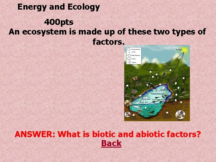 Energy and Ecology 400 pts An ecosystem is made up of these two types