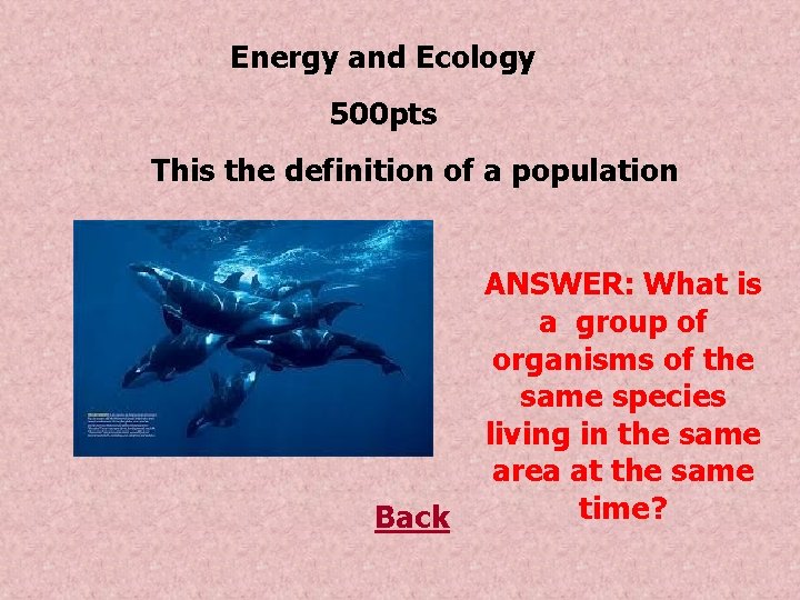 Energy and Ecology 500 pts This the definition of a population Back ANSWER: What
