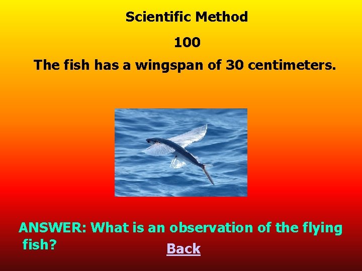 Scientific Method 100 The fish has a wingspan of 30 centimeters. ANSWER: What is