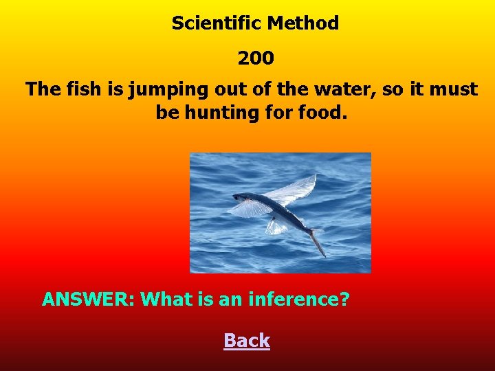 Scientific Method 200 The fish is jumping out of the water, so it must