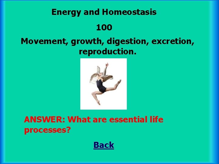 Energy and Homeostasis 100 Movement, growth, digestion, excretion, reproduction. ANSWER: What are essential life