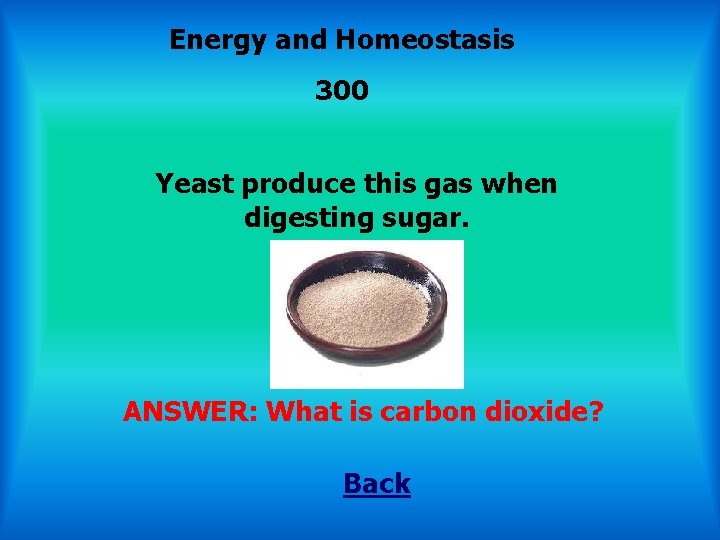 Energy and Homeostasis 300 Yeast produce this gas when digesting sugar. ANSWER: What is