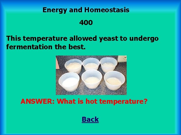 Energy and Homeostasis 400 This temperature allowed yeast to undergo fermentation the best. ANSWER: