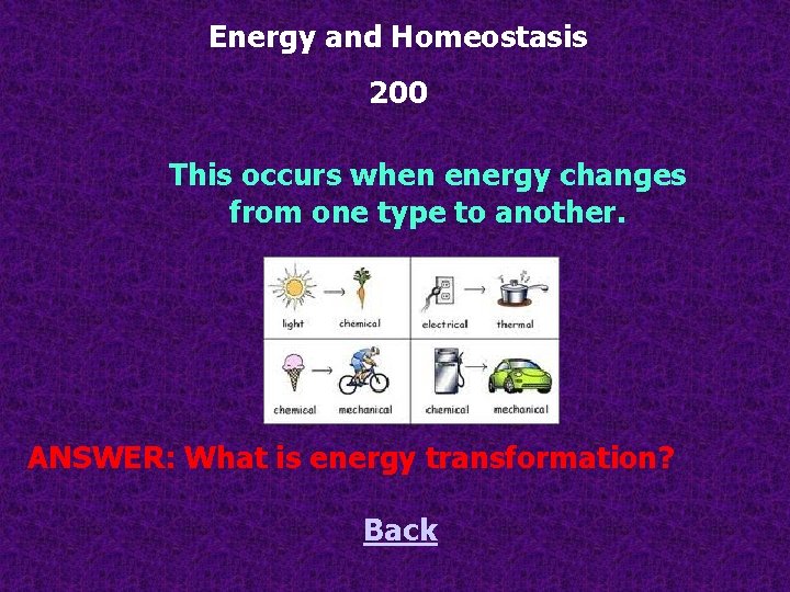 Energy and Homeostasis 200 This occurs when energy changes from one type to another.