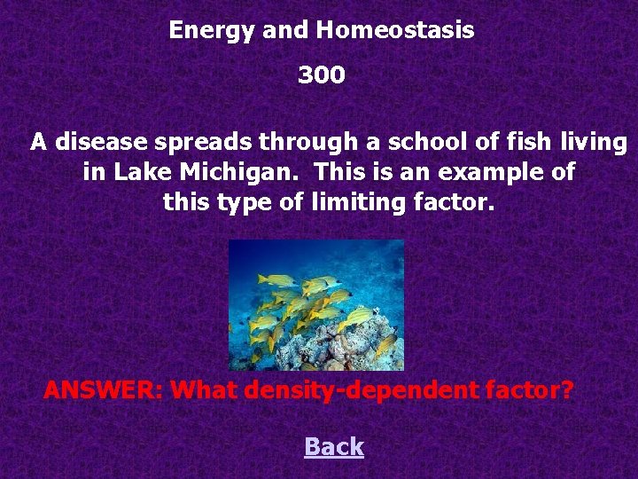 Energy and Homeostasis 300 A disease spreads through a school of fish living in