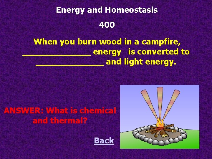 Energy and Homeostasis 400 When you burn wood in a campfire, _______ energy  is