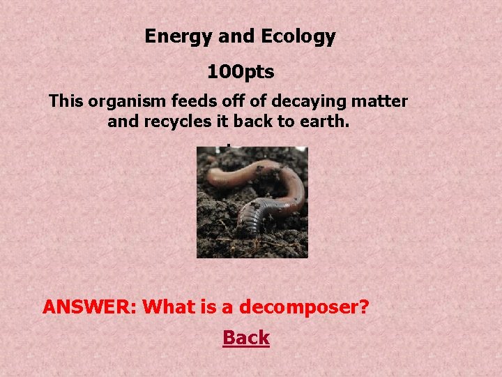 Energy and Ecology 100 pts This organism feeds off of decaying matter and recycles