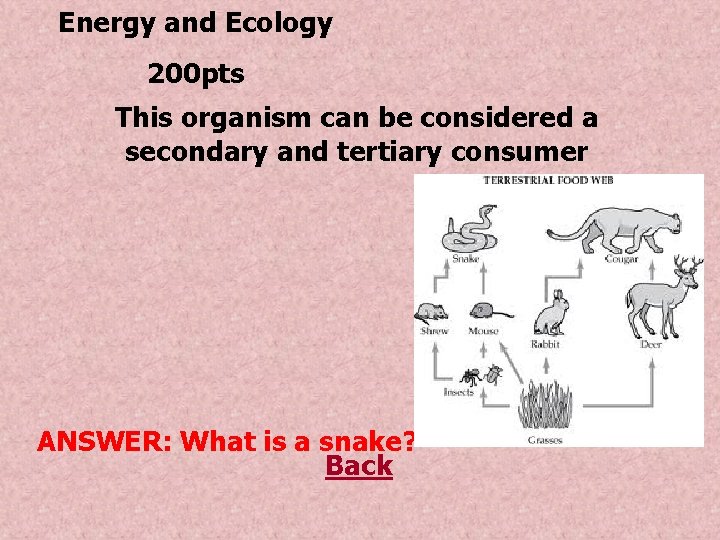 Energy and Ecology 200 pts This organism can be considered a secondary and tertiary