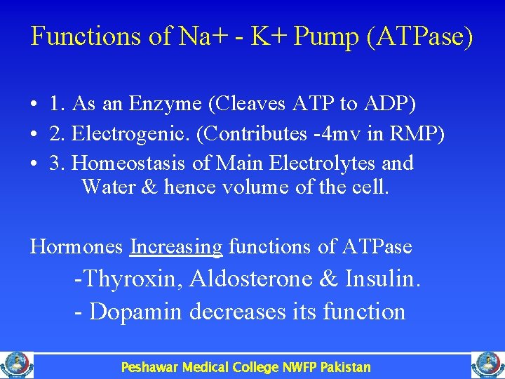 Functions of Na+ - K+ Pump (ATPase) • 1. As an Enzyme (Cleaves ATP