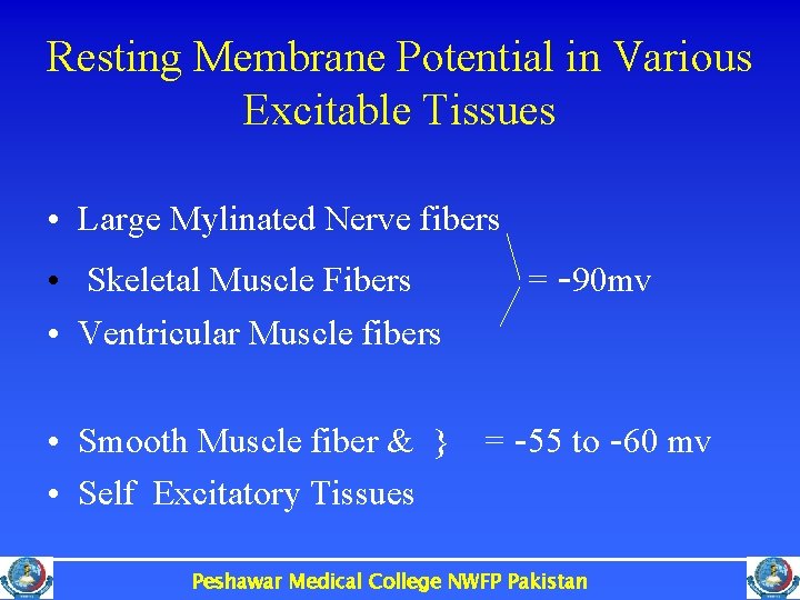 Resting Membrane Potential in Various Excitable Tissues • Large Mylinated Nerve fibers • Skeletal