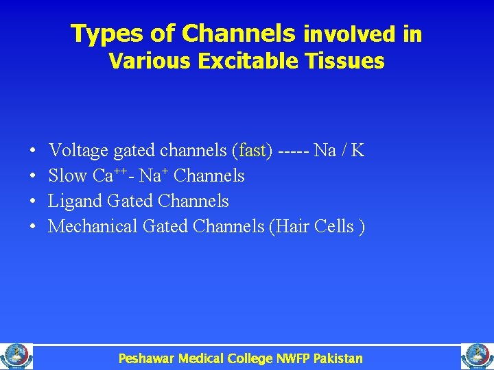 Types of Channels involved in Various Excitable Tissues • • Voltage gated channels (fast)