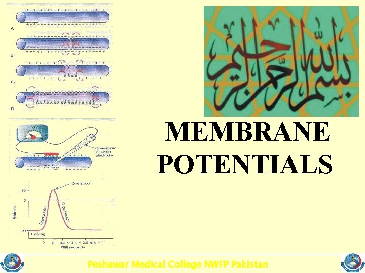 MEMBRANE POTENTIALS Peshawar Medical College NWFP Pakistan 