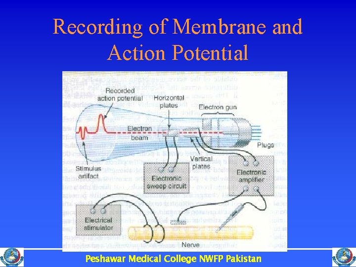 Recording of Membrane and Action Potential Peshawar Medical College NWFP Pakistan 