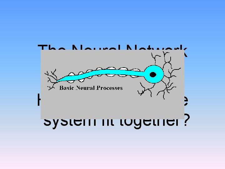 The Neural Network How does the whole system fit together? 