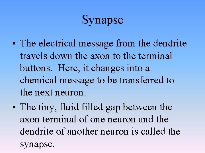 Synapse • The electrical message from the dendrite travels down the axon to the