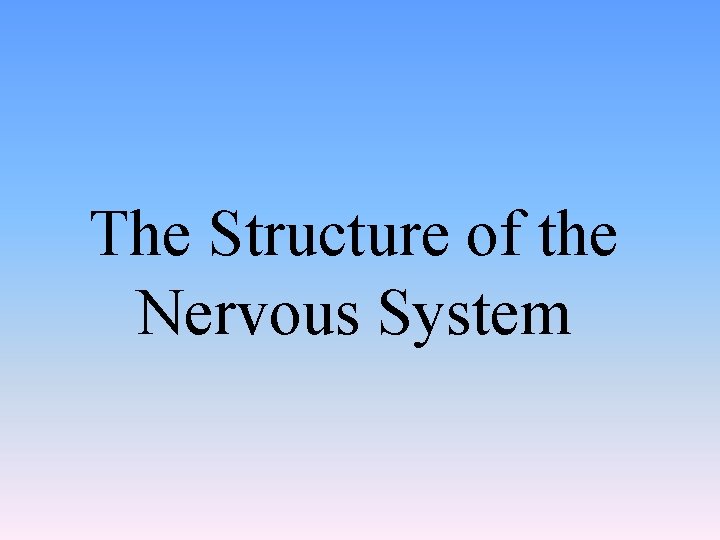 The Structure of the Nervous System 