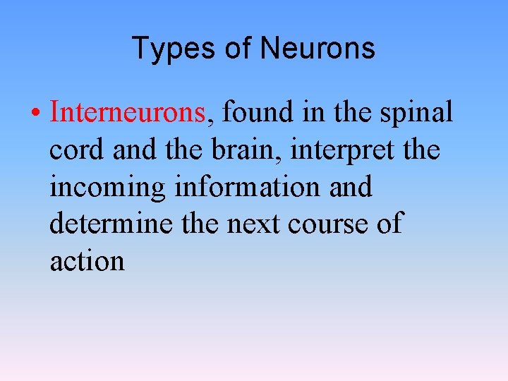 Types of Neurons • Interneurons, found in the spinal cord and the brain, interpret