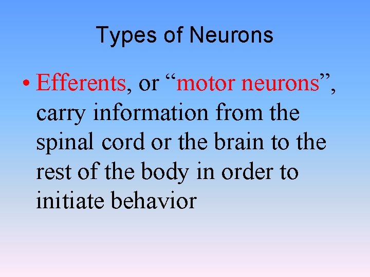 Types of Neurons • Efferents, or “motor neurons”, carry information from the spinal cord