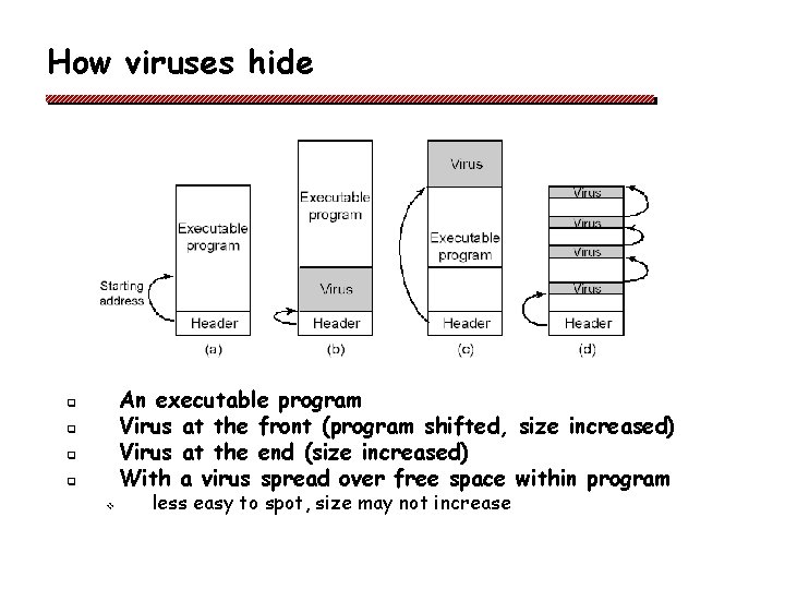 How viruses hide An executable program Virus at the front (program shifted, size increased)