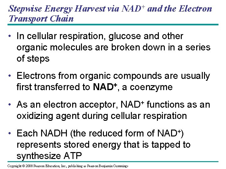 Stepwise Energy Harvest via NAD+ and the Electron Transport Chain • In cellular respiration,