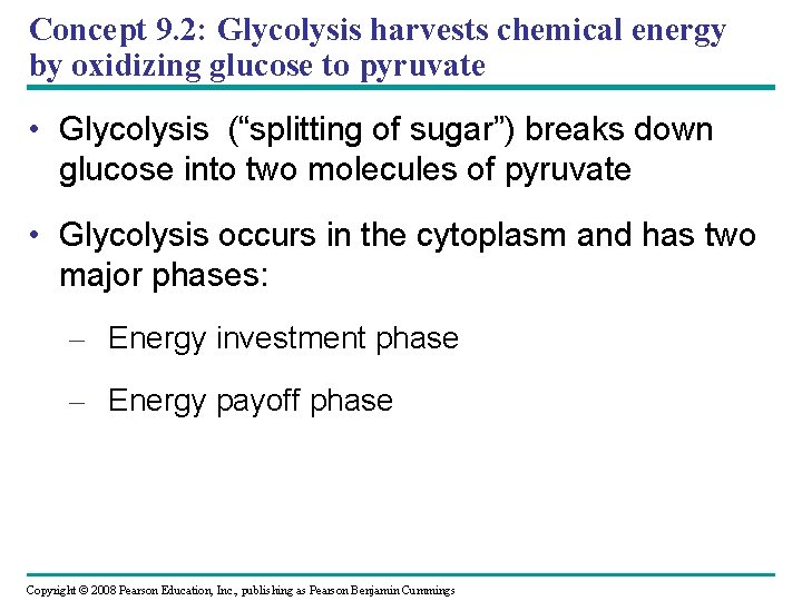 Concept 9. 2: Glycolysis harvests chemical energy by oxidizing glucose to pyruvate • Glycolysis