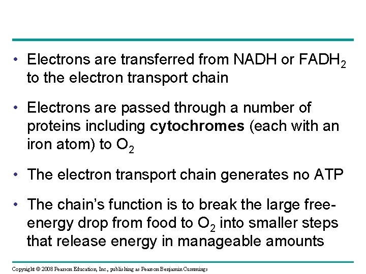  • Electrons are transferred from NADH or FADH 2 to the electron transport