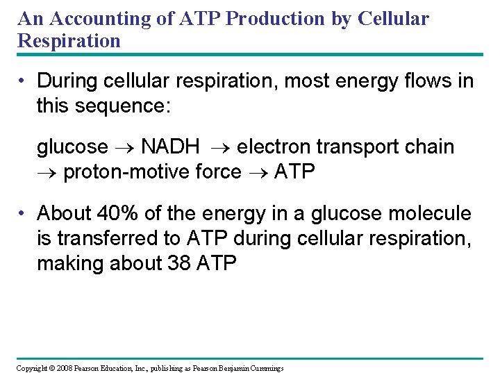 An Accounting of ATP Production by Cellular Respiration • During cellular respiration, most energy