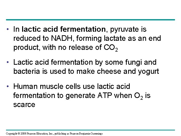  • In lactic acid fermentation, pyruvate is reduced to NADH, forming lactate as