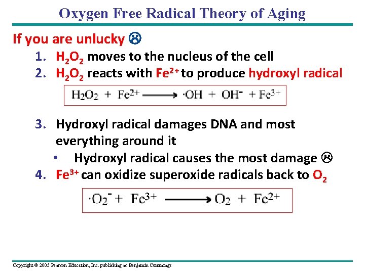 Oxygen Free Radical Theory of Aging If you are unlucky 1. H 2 O