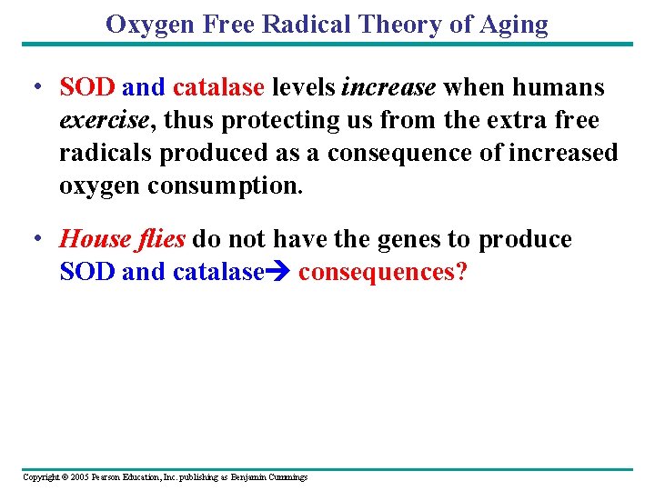 Oxygen Free Radical Theory of Aging • SOD and catalase levels increase when humans