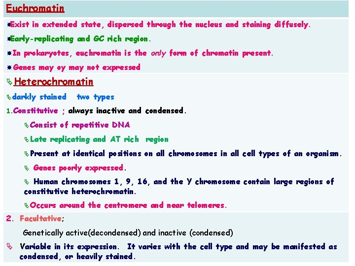 Euchromatin Exist in extended state, dispersed through the nucleus and staining diffusely. Early-replicating and