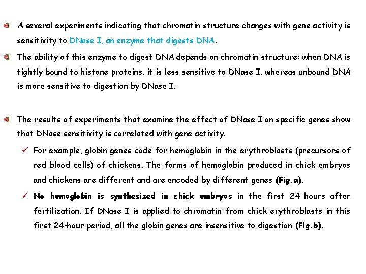 A several experiments indicating that chromatin structure changes with gene activity is sensitivity to