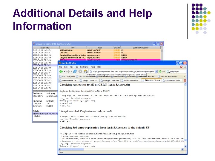 Additional Details and Help Information 