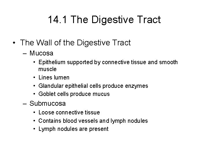 14. 1 The Digestive Tract • The Wall of the Digestive Tract – Mucosa