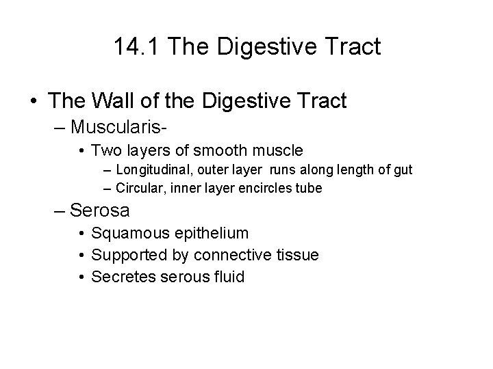 14. 1 The Digestive Tract • The Wall of the Digestive Tract – Muscularis