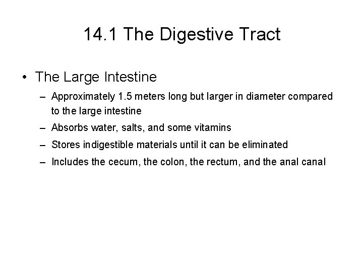 14. 1 The Digestive Tract • The Large Intestine – Approximately 1. 5 meters