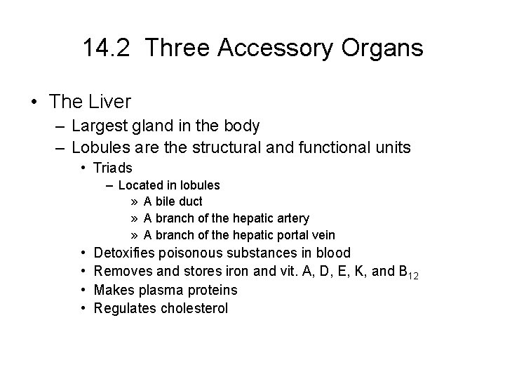 14. 2 Three Accessory Organs • The Liver – Largest gland in the body