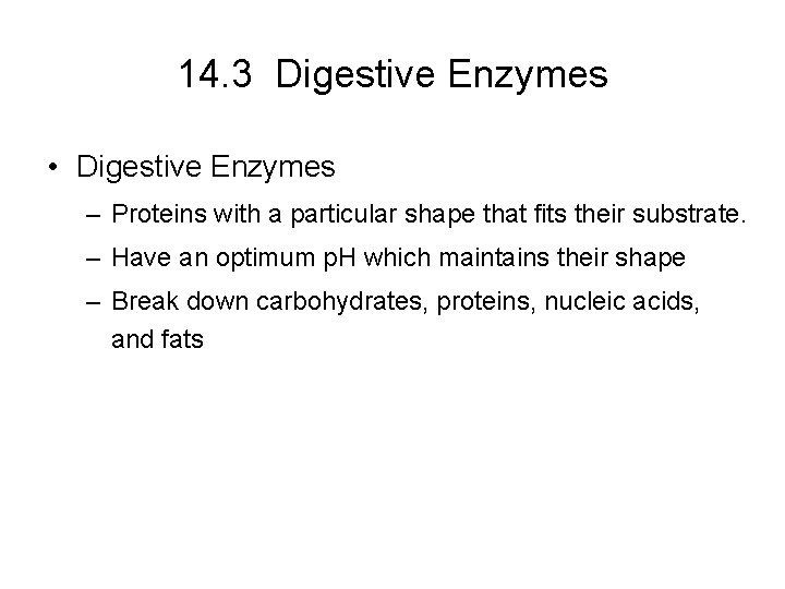 14. 3 Digestive Enzymes • Digestive Enzymes – Proteins with a particular shape that