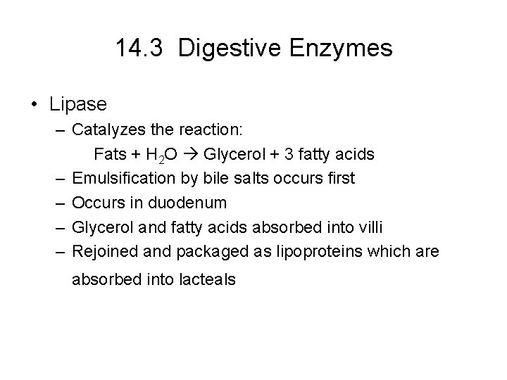 14. 3 Digestive Enzymes • Lipase – Catalyzes the reaction: Fats + H 2