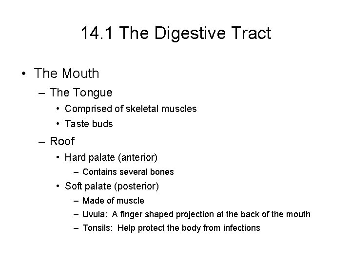 14. 1 The Digestive Tract • The Mouth – The Tongue • Comprised of